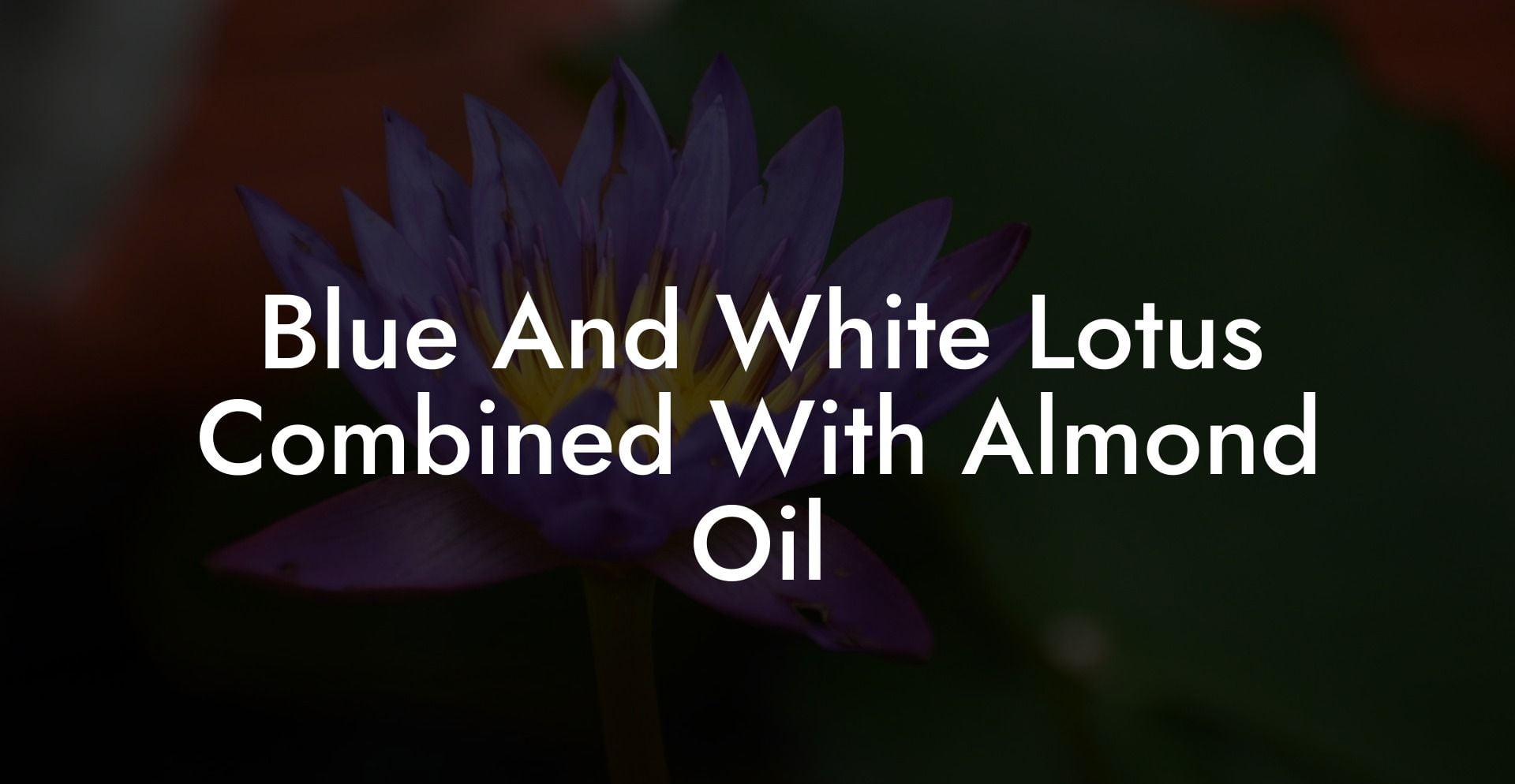 Blue And White Lotus Combined With Almond Oil