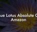 Blue Lotus Absolute Oil Amazon