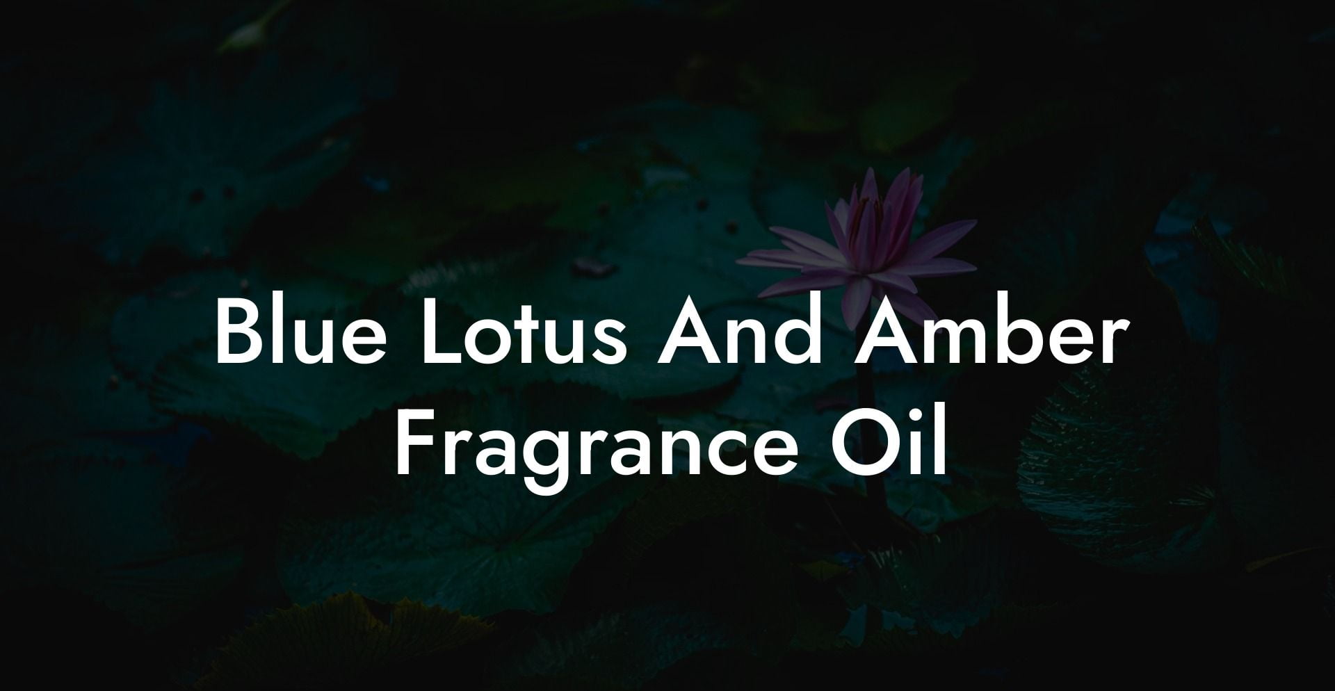 Blue Lotus And Amber Fragrance Oil