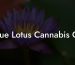 Blue Lotus Cannabis Oil