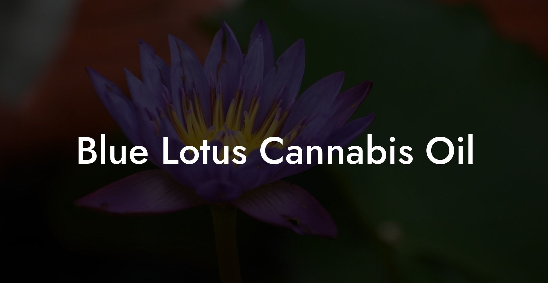 Blue Lotus Cannabis Oil