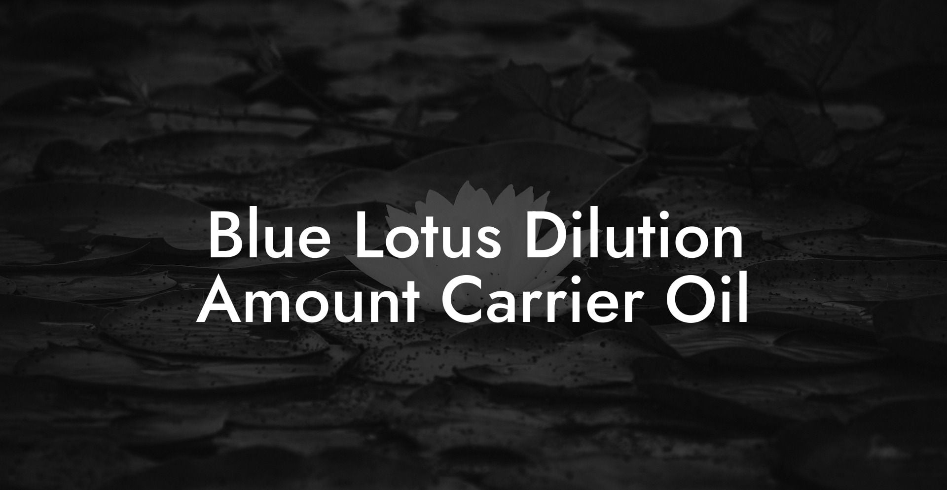 Blue Lotus Dilution Amount Carrier Oil
