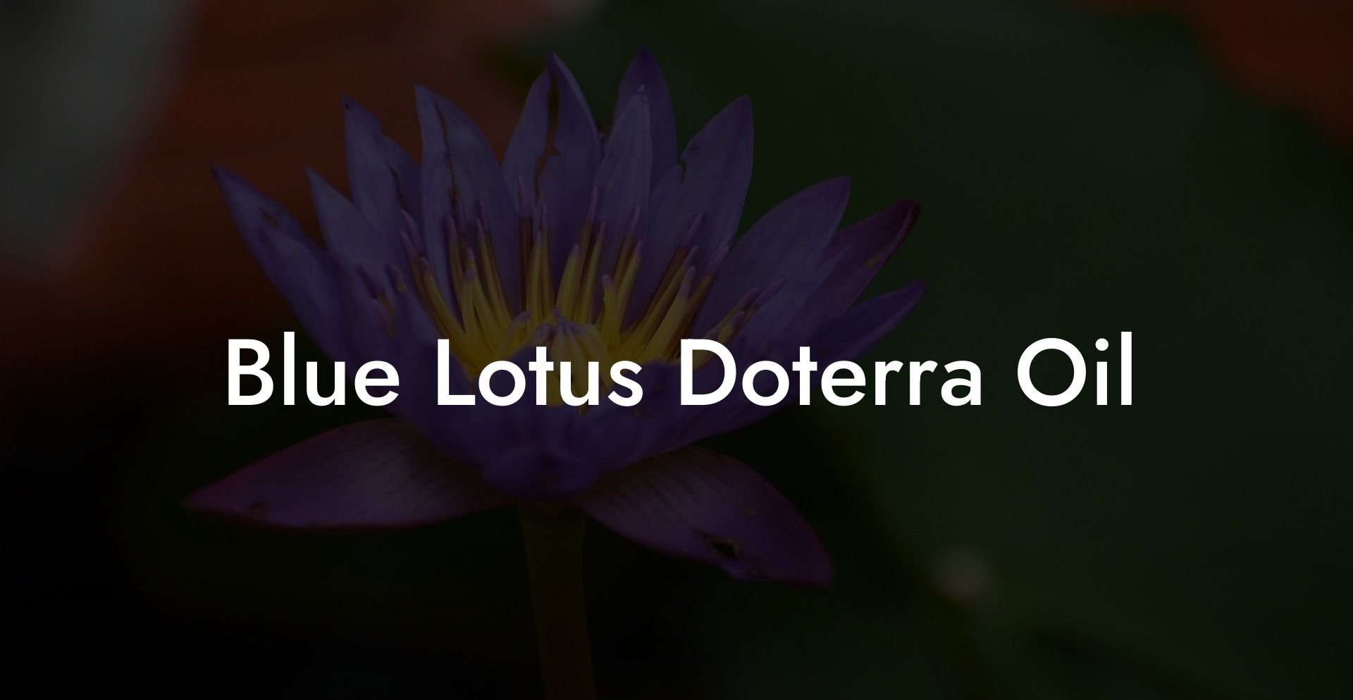 Blue Lotus Doterra Oil