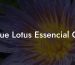 Blue Lotus Essencial Oil