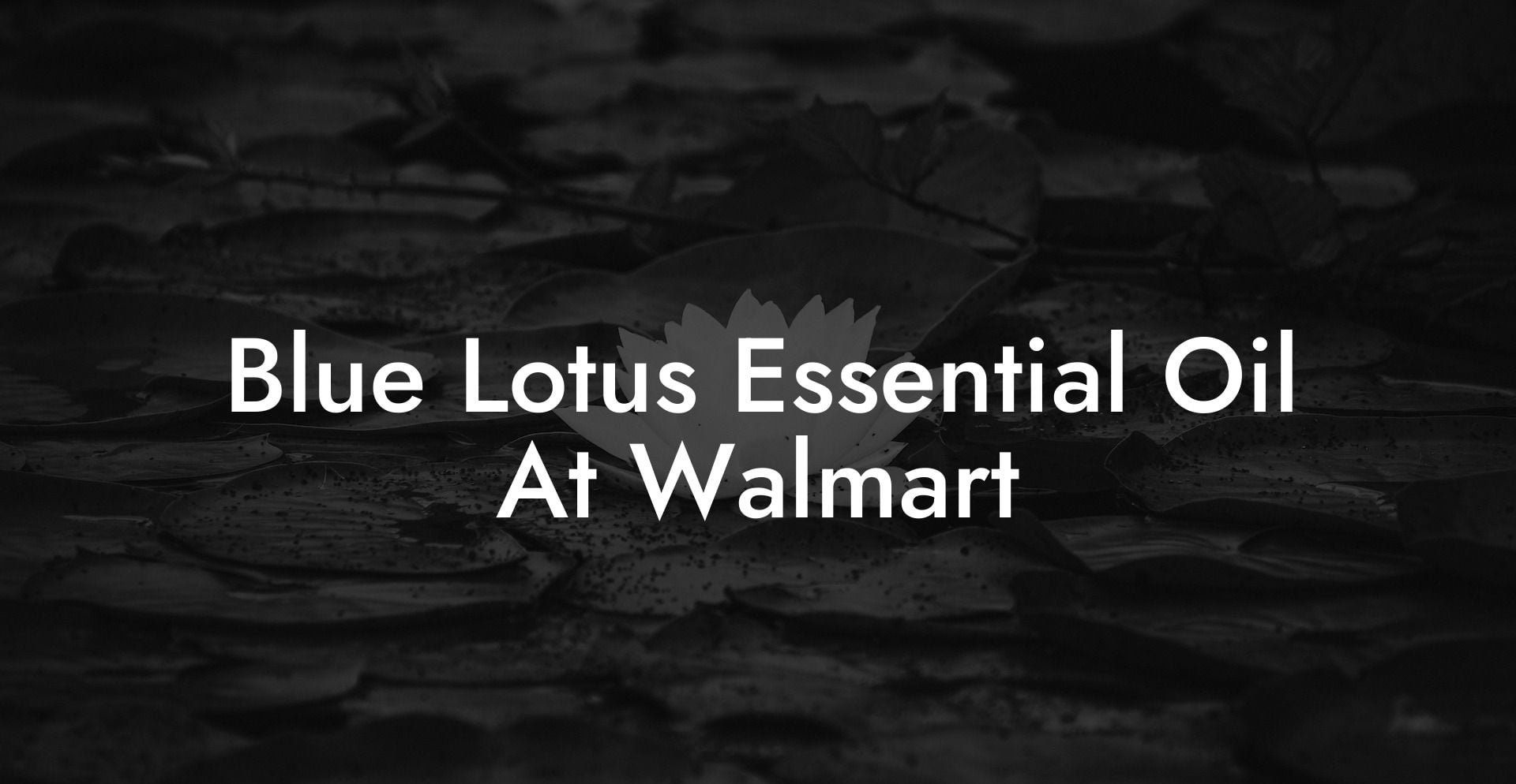 Blue Lotus Essential Oil At Walmart