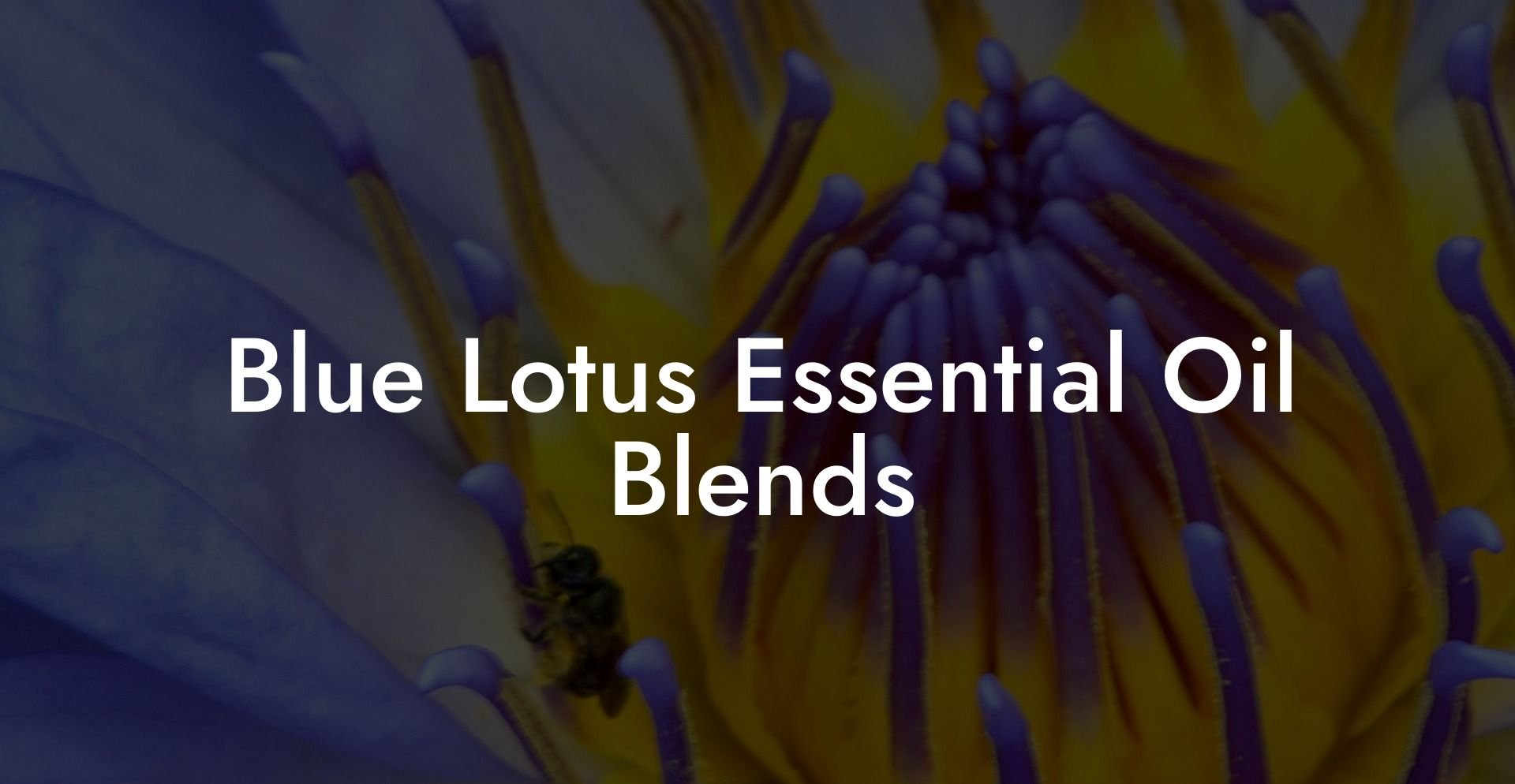 Blue Lotus Essential Oil Blends