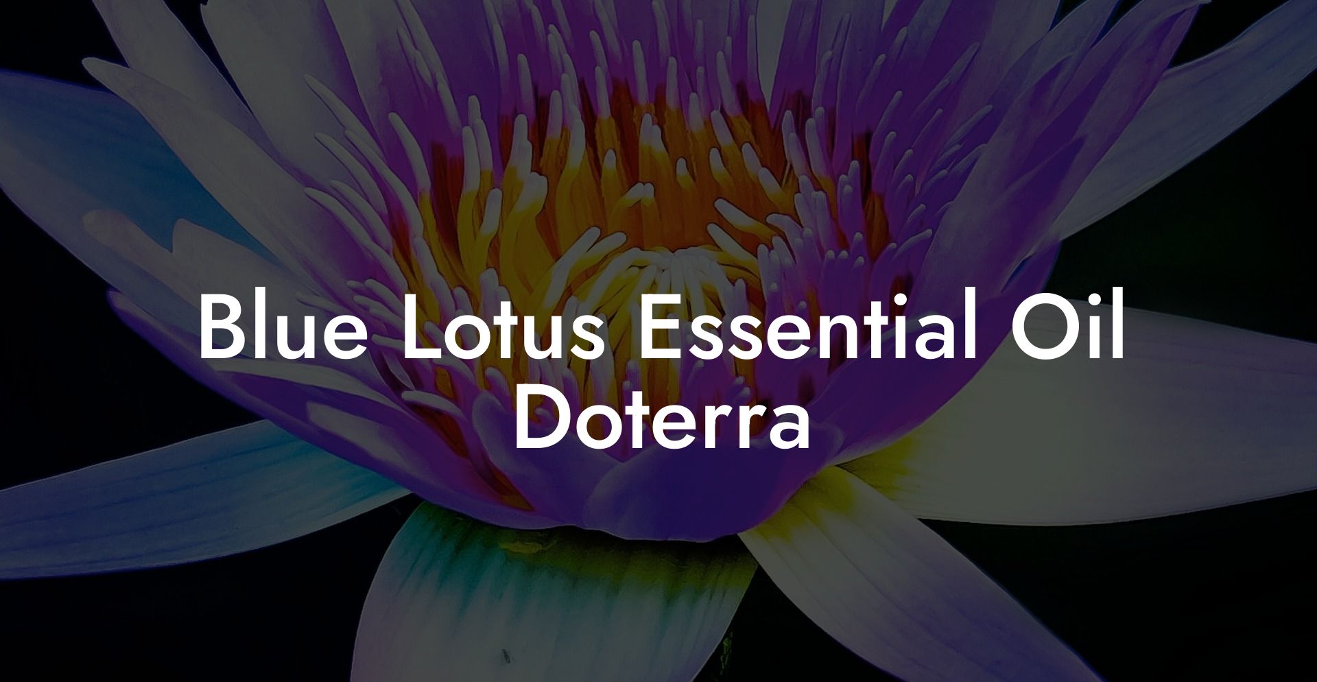 Blue Lotus Essential Oil Doterra