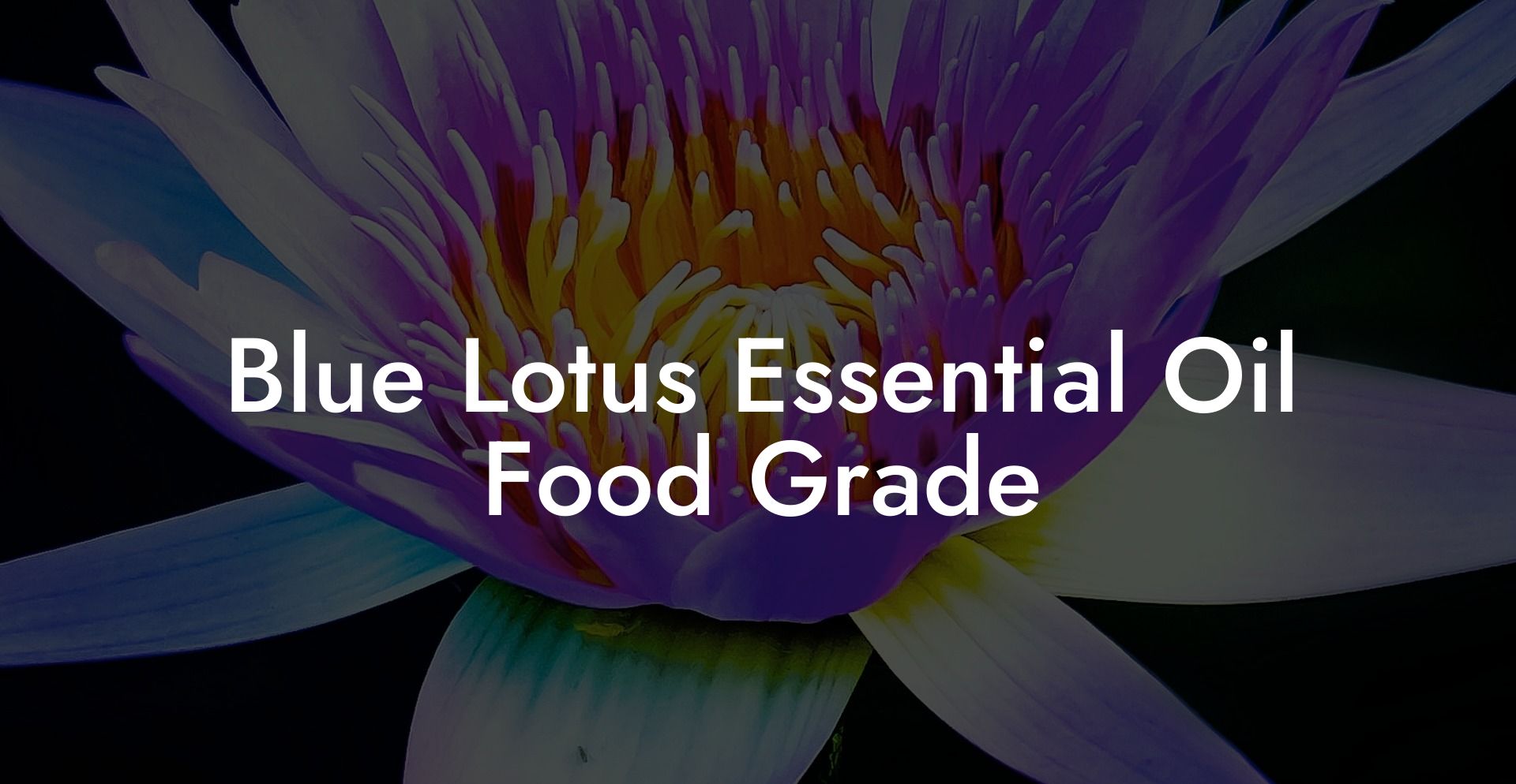 Blue Lotus Essential Oil Food Grade
