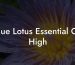 Blue Lotus Essential Oil High