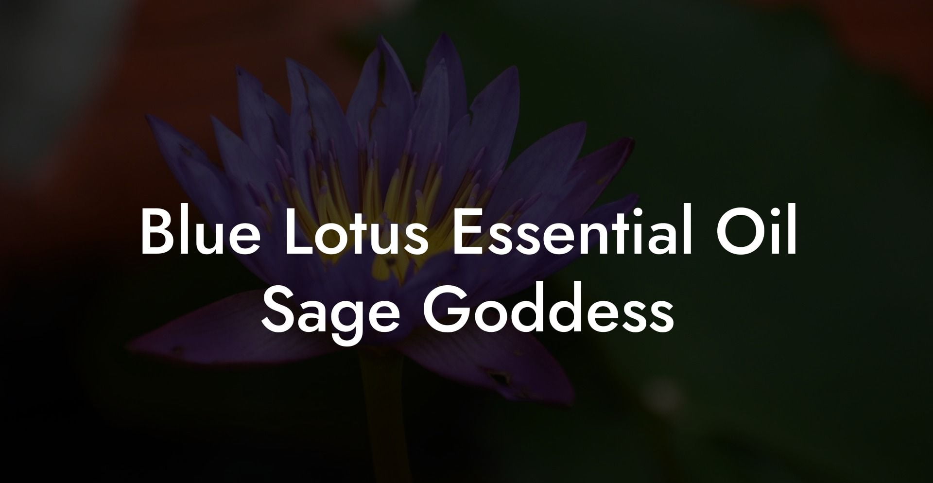 Blue Lotus Essential Oil Sage Goddess