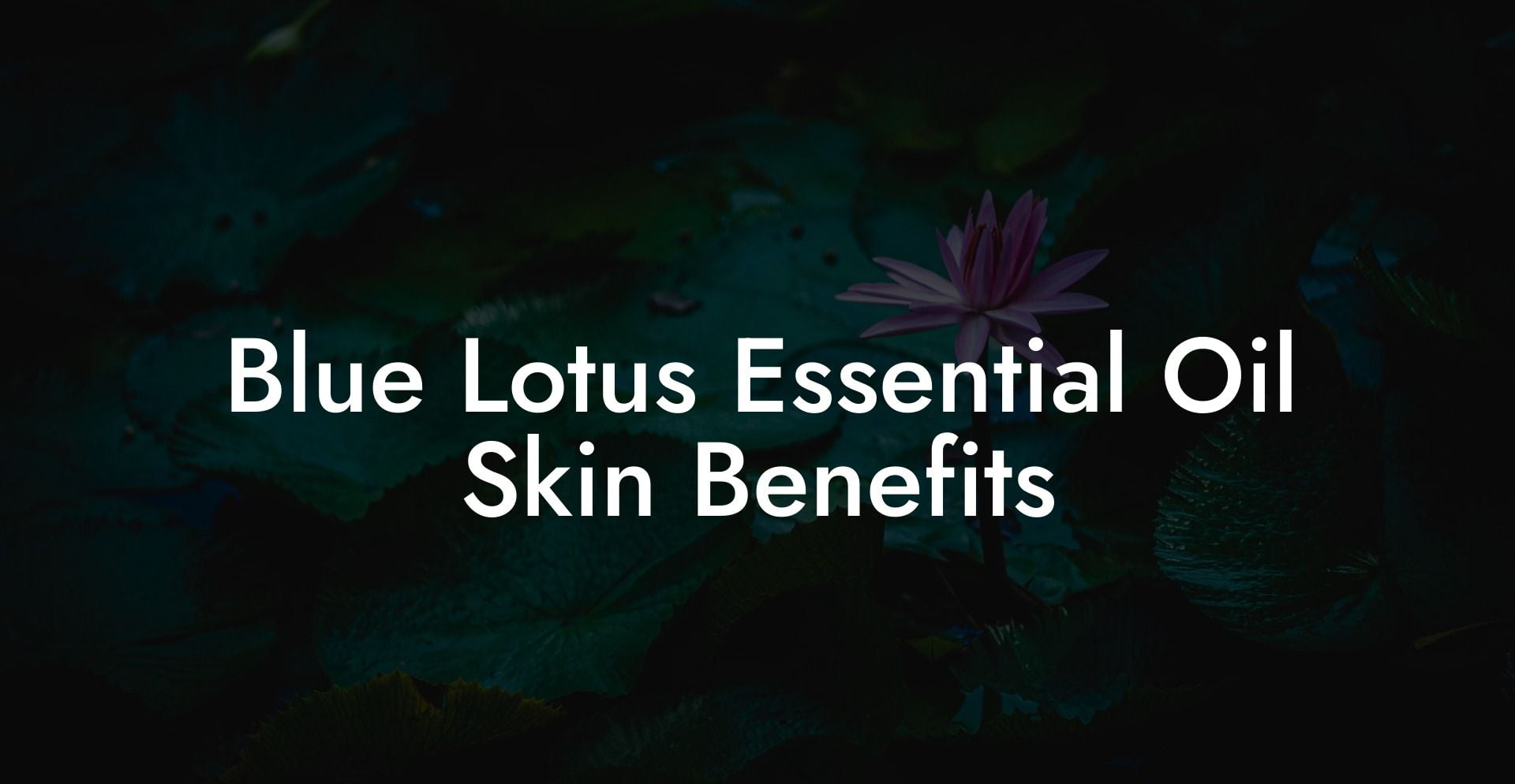 Blue Lotus Essential Oil Skin Benefits