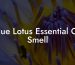 Blue Lotus Essential Oil Smell