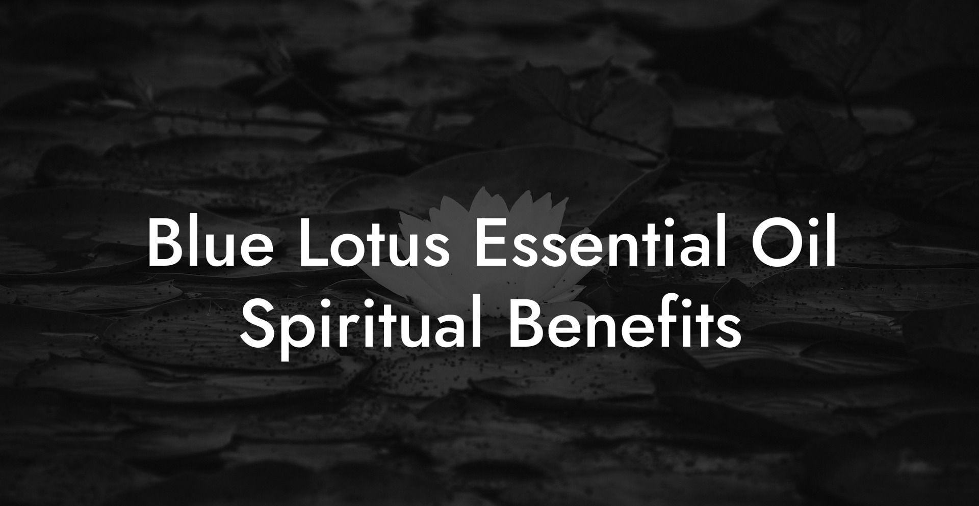 Blue Lotus Essential Oil Spiritual Benefits