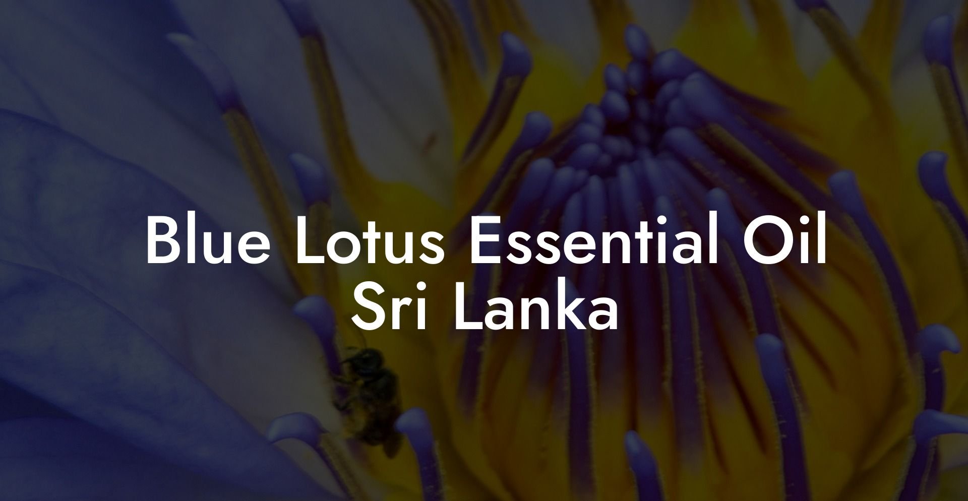 Blue Lotus Essential Oil Sri Lanka