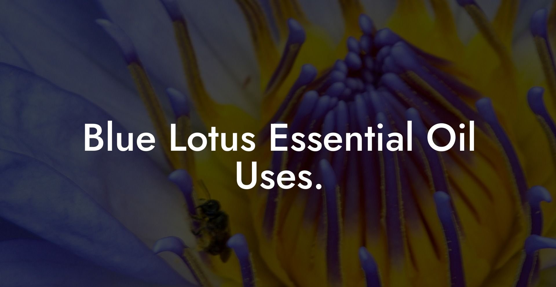 Blue Lotus Essential Oil Uses