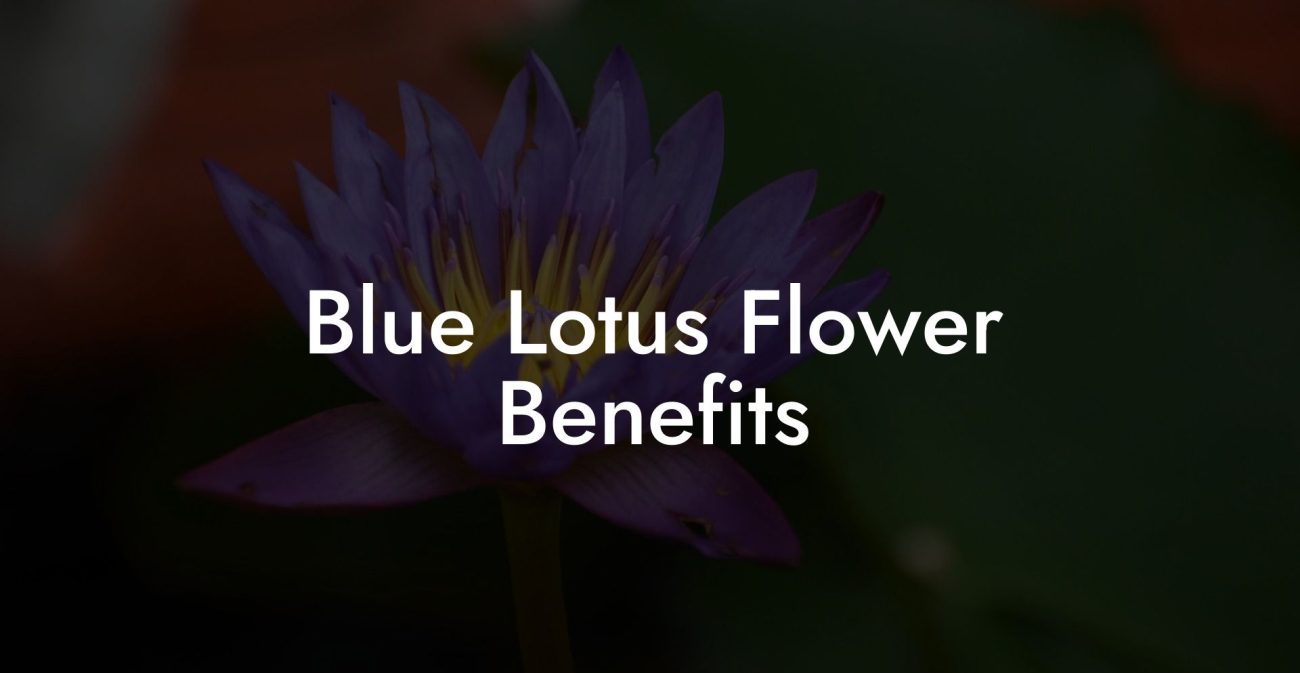 Blue Lotus Flower Benefits