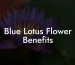 Blue Lotus Flower Benefits