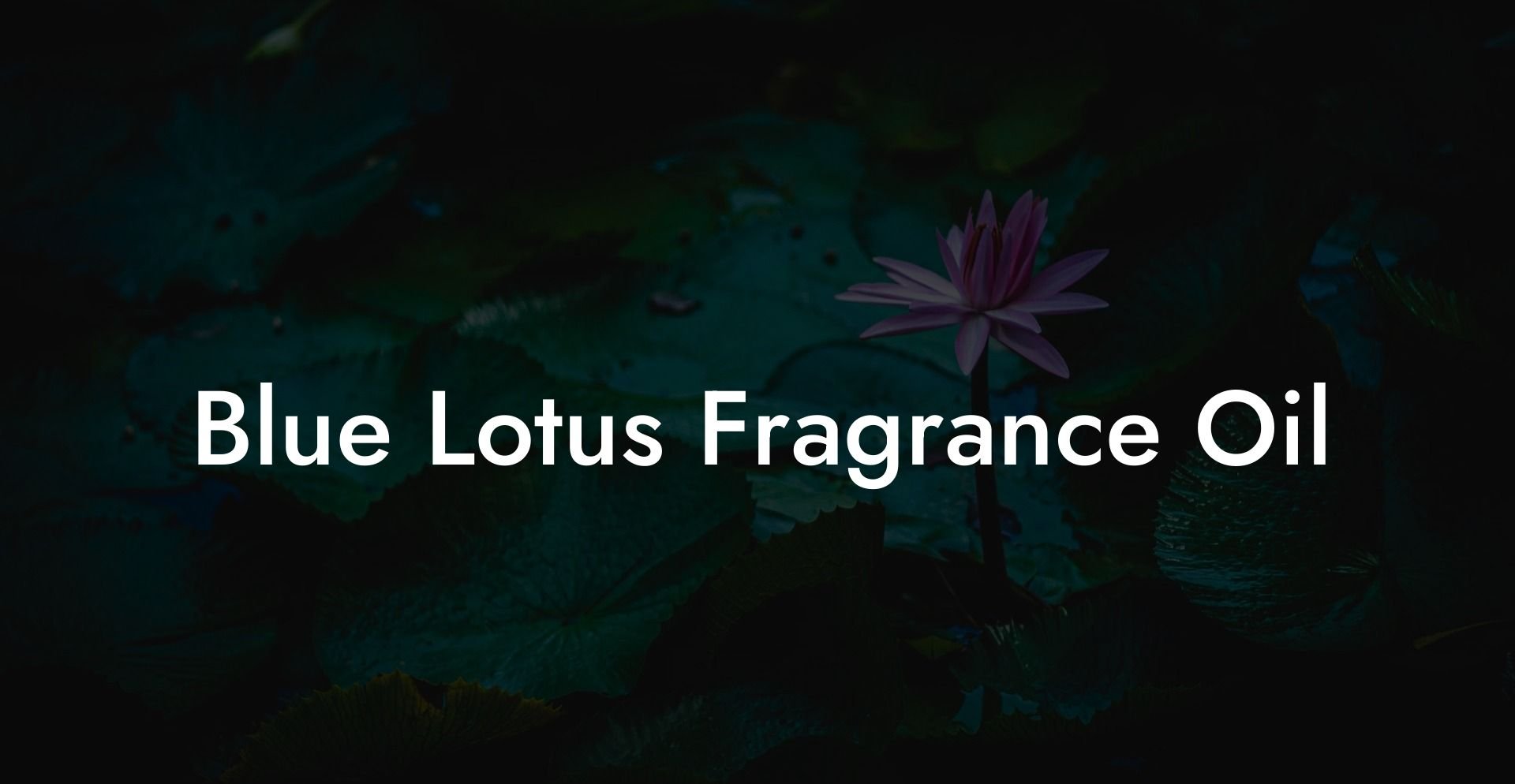 Blue Lotus Fragrance Oil