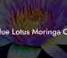 Blue Lotus Moringa Oil