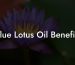 Blue Lotus Oil Benefits