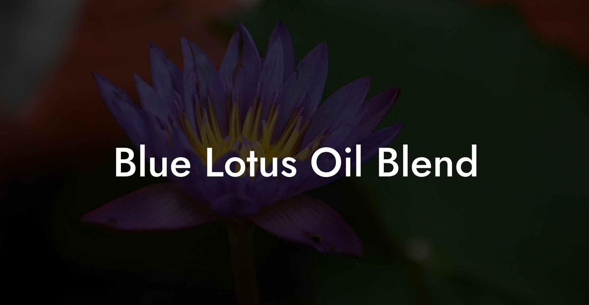 Blue Lotus Oil Blend