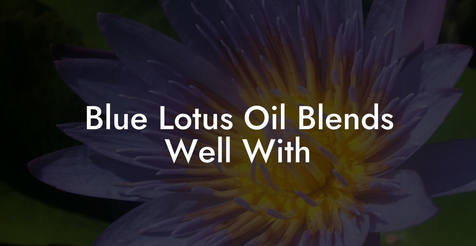 Blue Lotus Oil Blends Well With