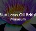 Blue Lotus Oil British Museum