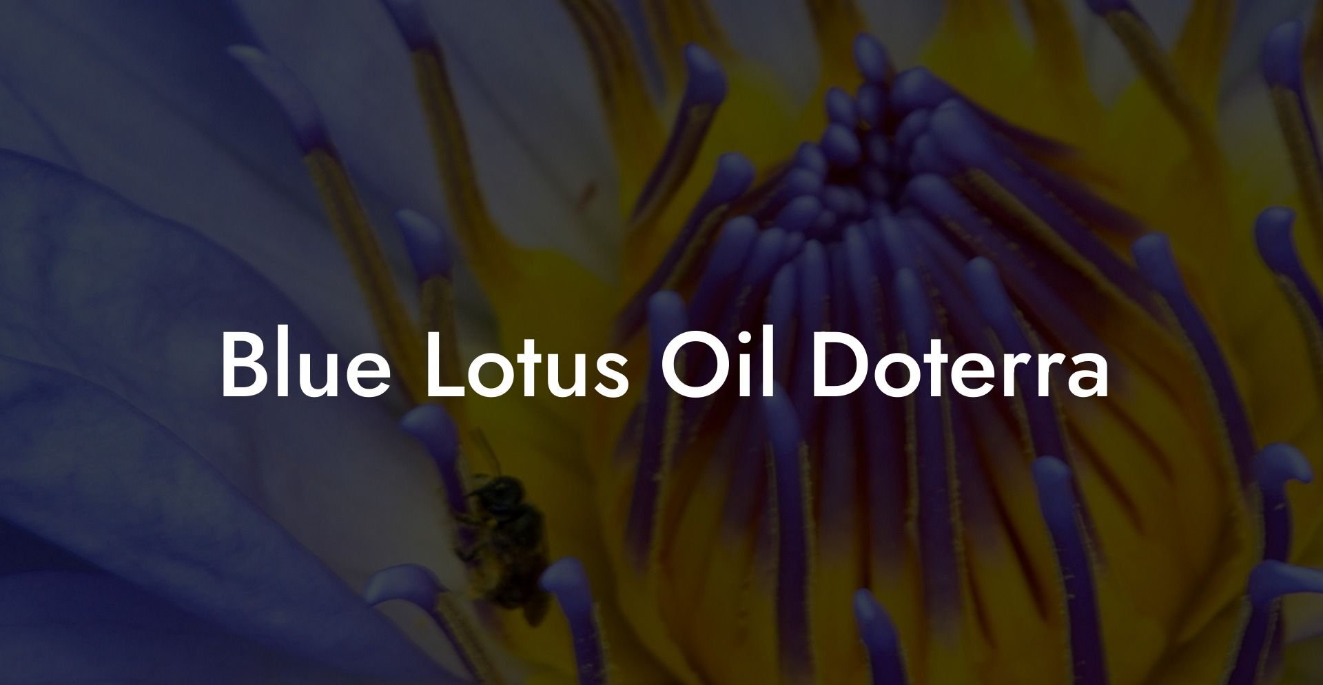 Blue Lotus Oil Doterra