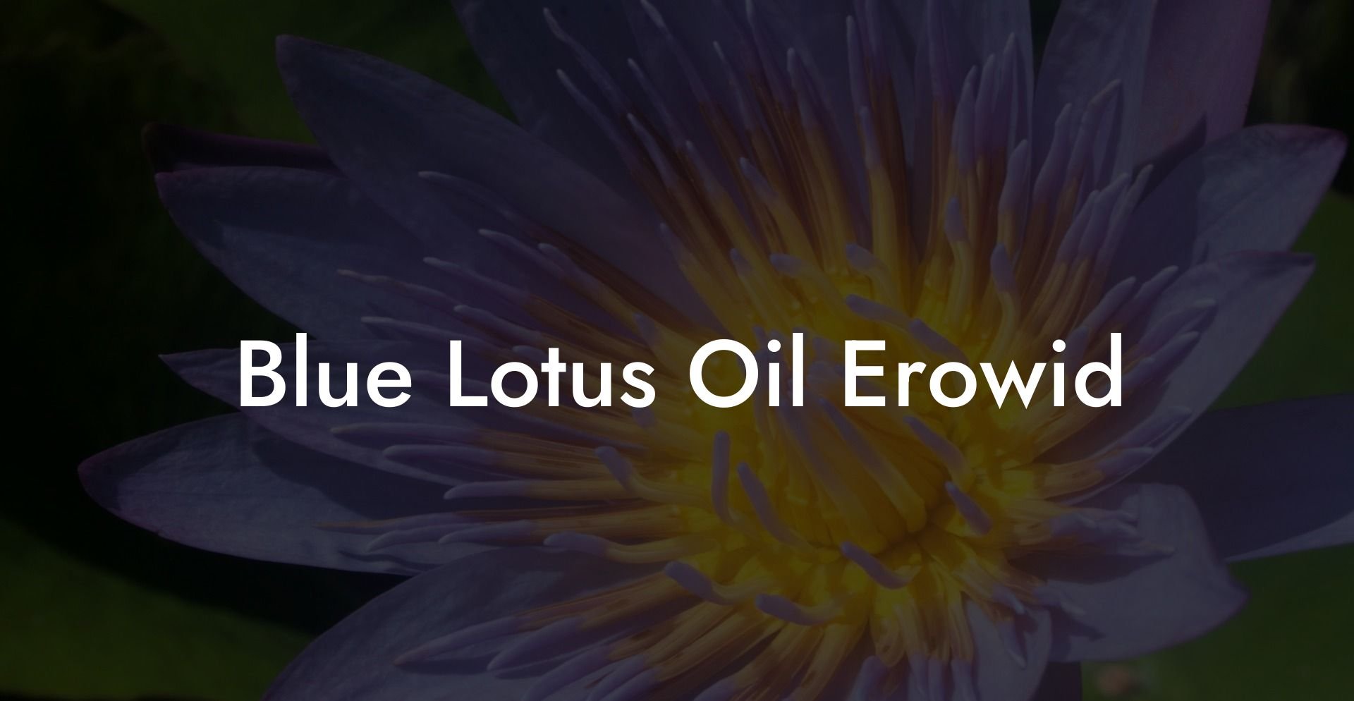 Blue Lotus Oil Erowid