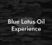 Blue Lotus Oil Experience