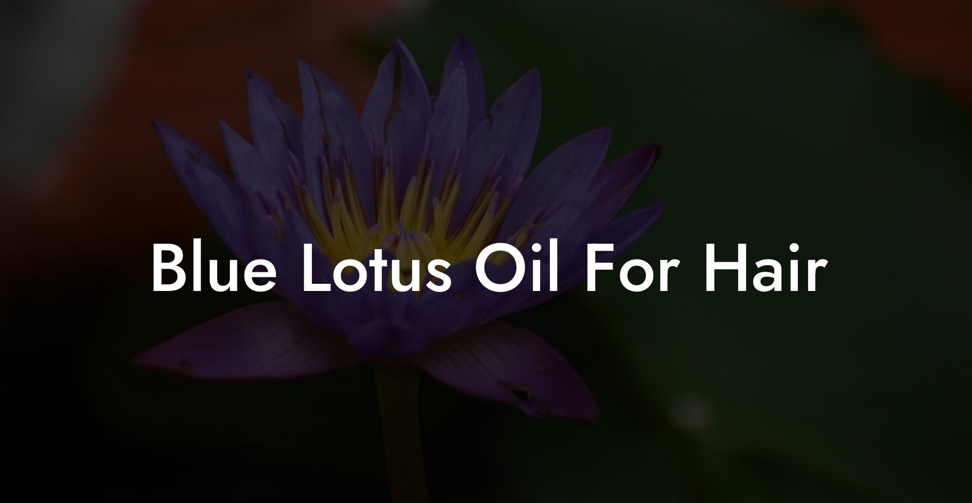 Blue Lotus Oil For Hair