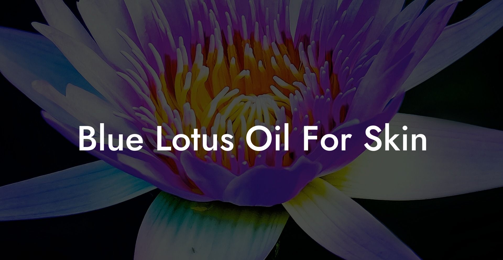 Blue Lotus Oil For Skin