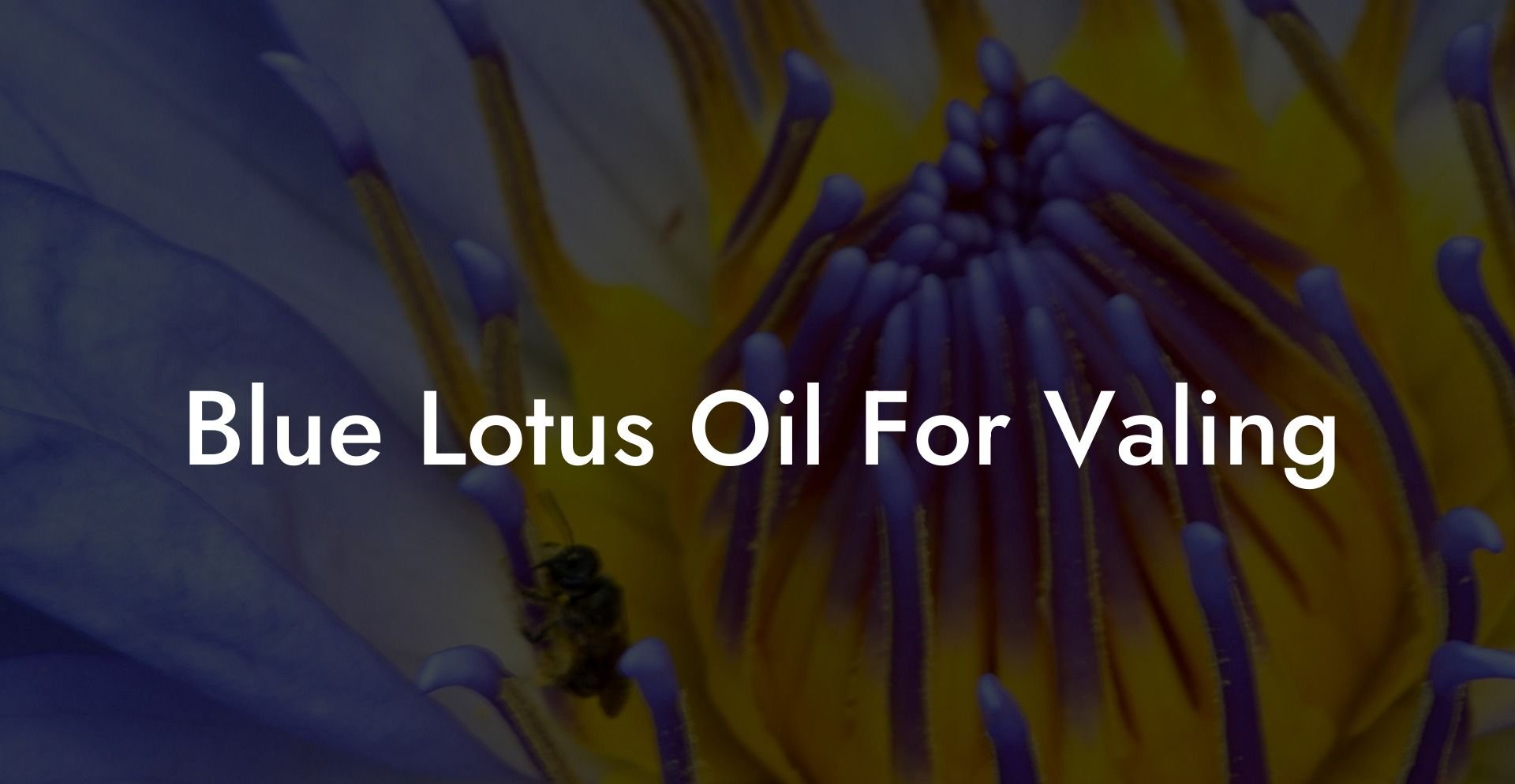 Blue Lotus Oil For Valing