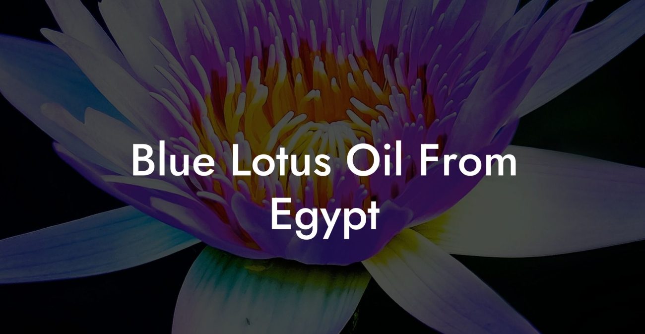 Blue Lotus Oil From Egypt