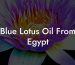 Blue Lotus Oil From Egypt