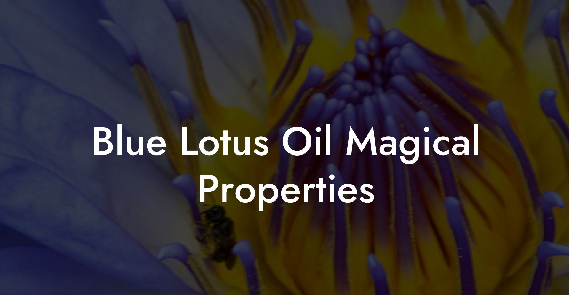 Blue Lotus Oil Magical Properties