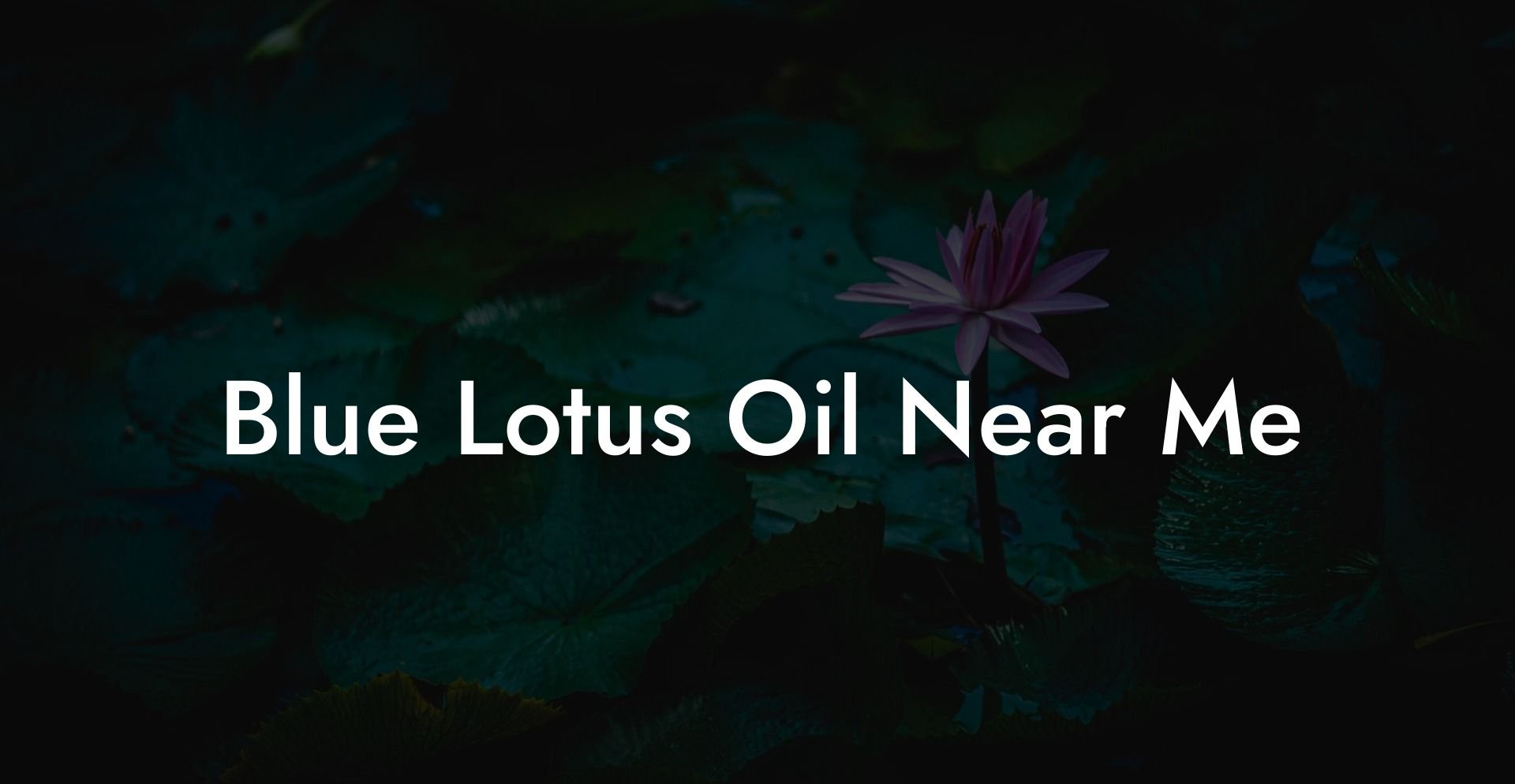 Blue Lotus Oil Near Me