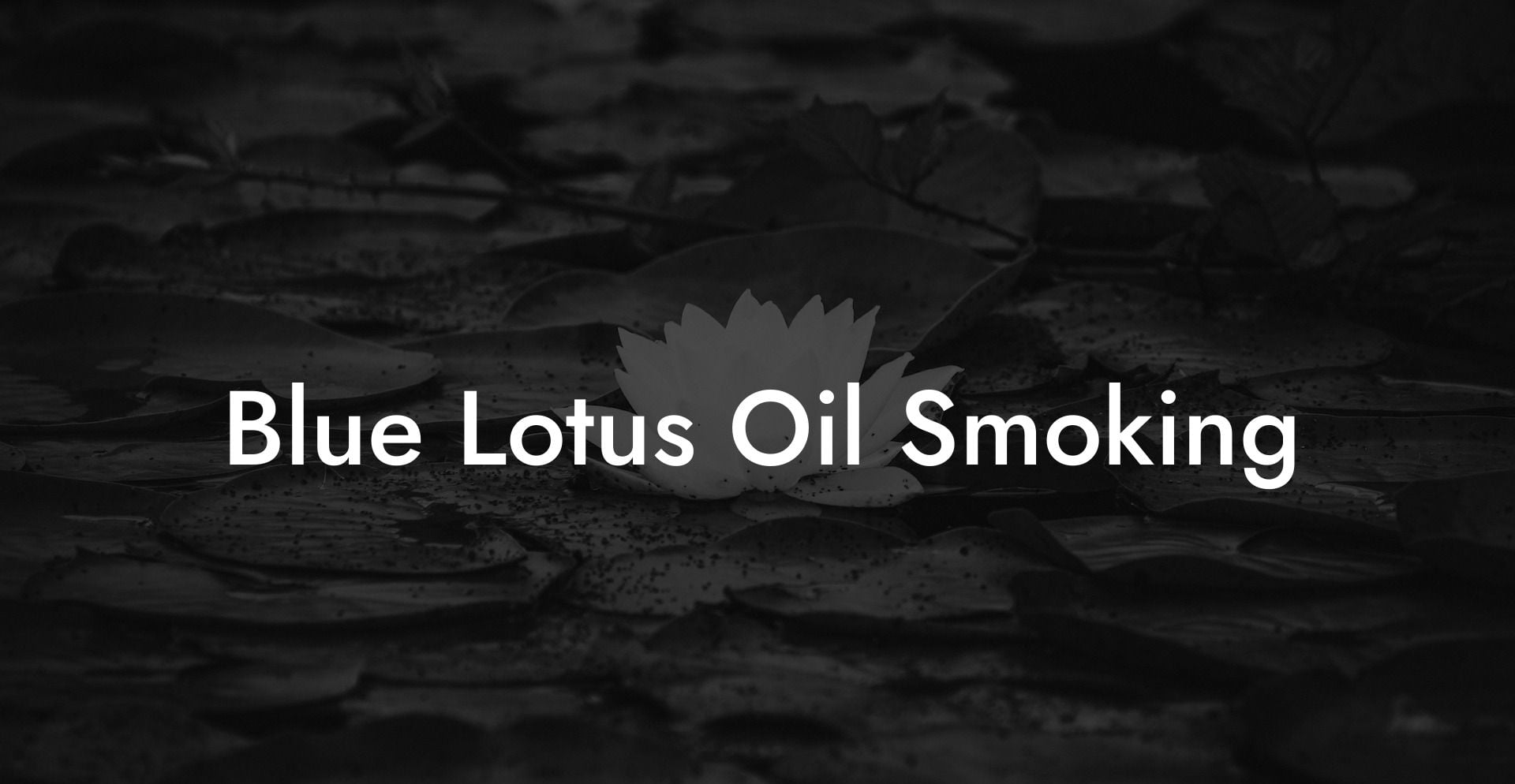 Blue Lotus Oil Smoking