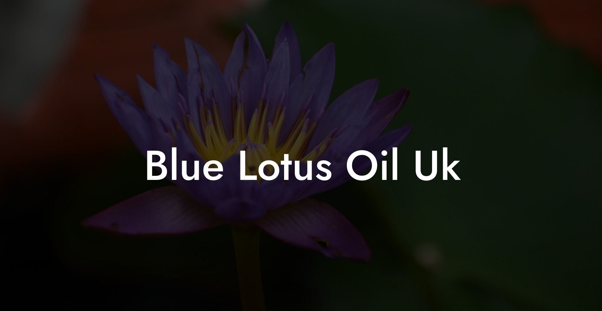 Blue Lotus Oil UK