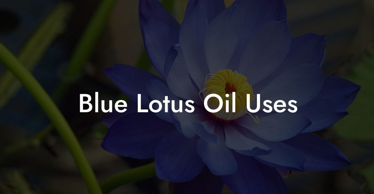 Blue Lotus Oil Uses