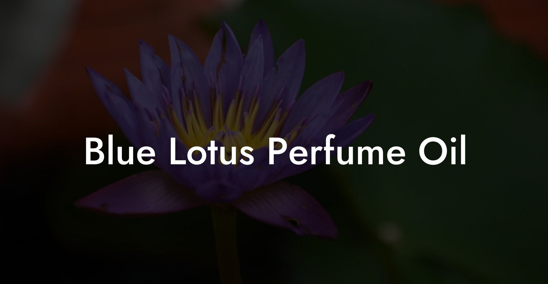 Blue Lotus Perfume Oil