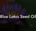 Blue Lotus Seed Oil