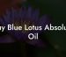 Buy Blue Lotus Absolute Oil
