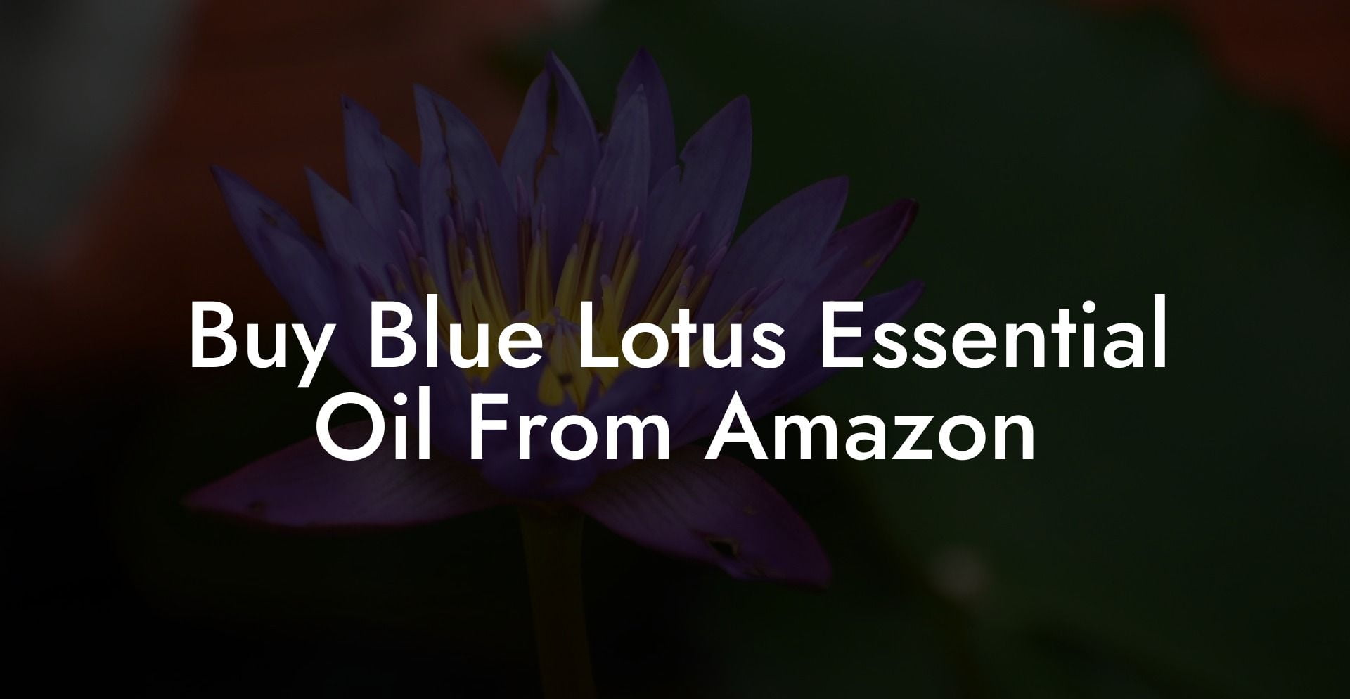 Buy Blue Lotus Essential Oil From Amazon