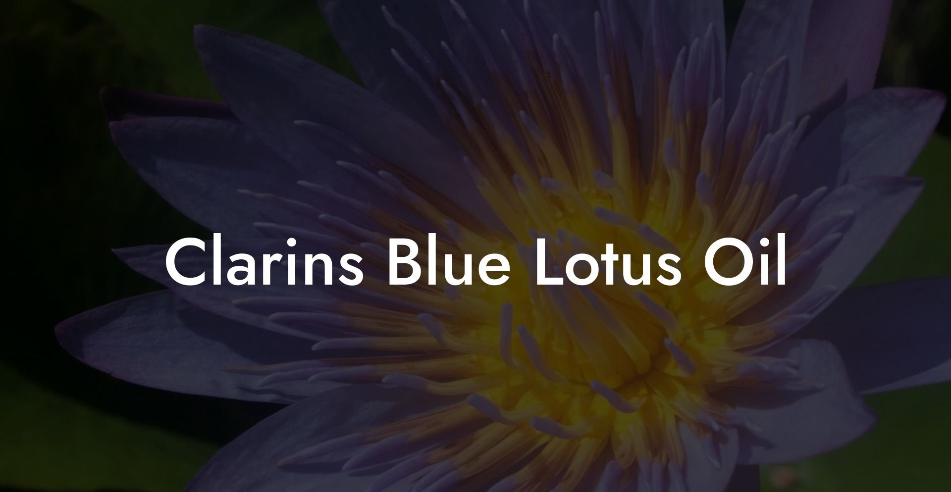 Clarins Blue Lotus Oil
