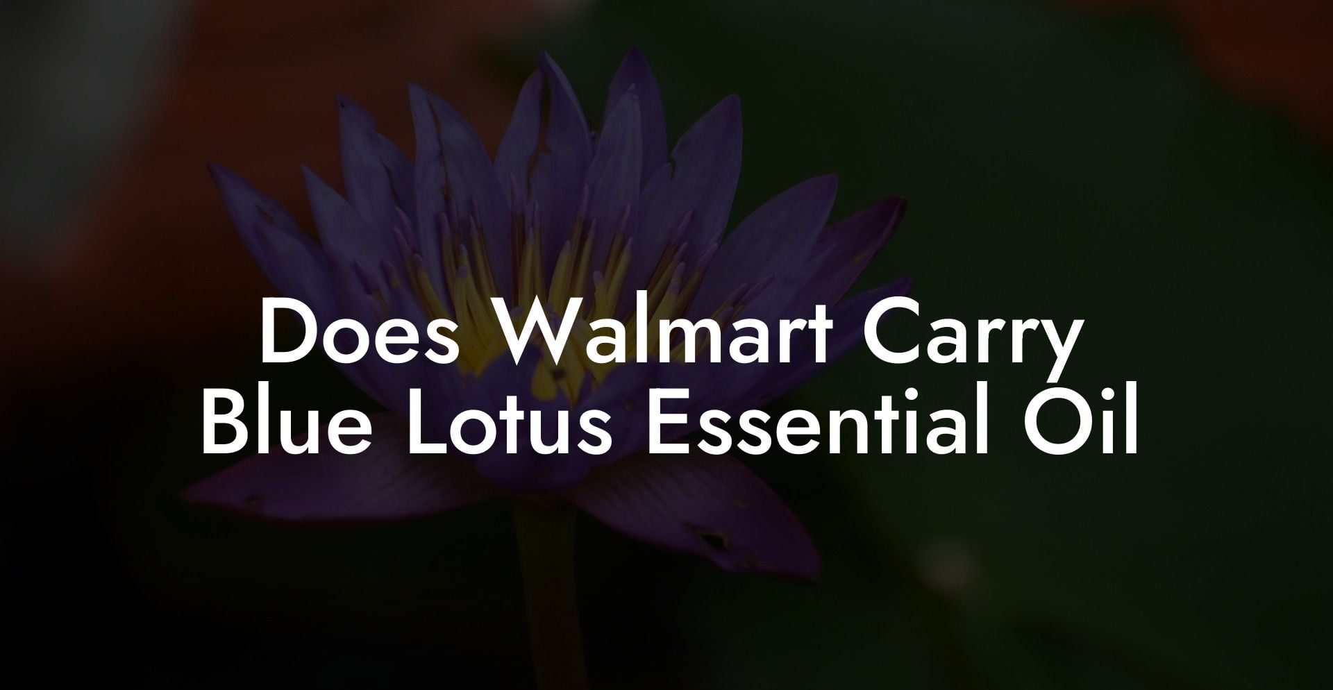 Does Walmart Carry Blue Lotus Essential Oil