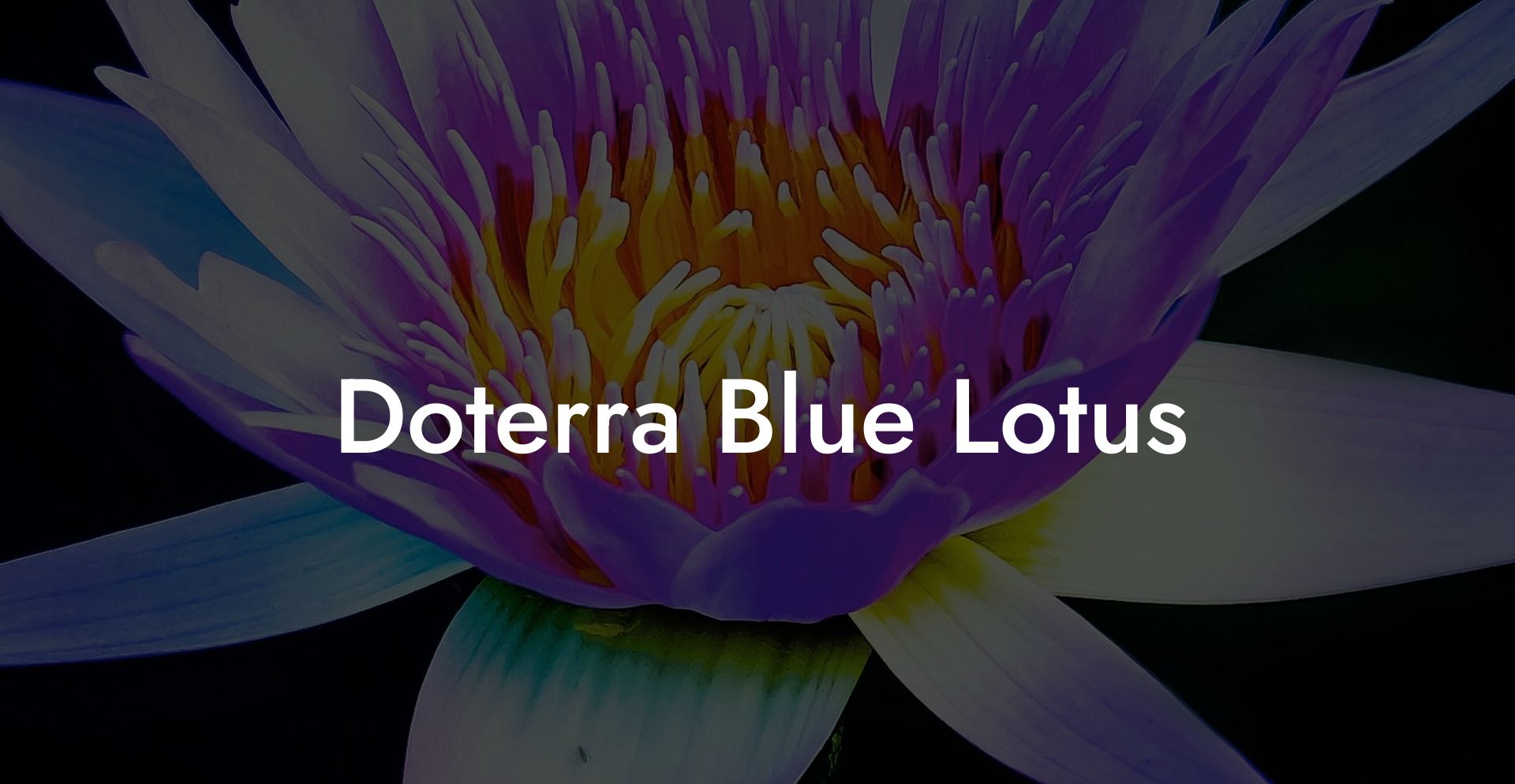 Doterra Blue Lotus
