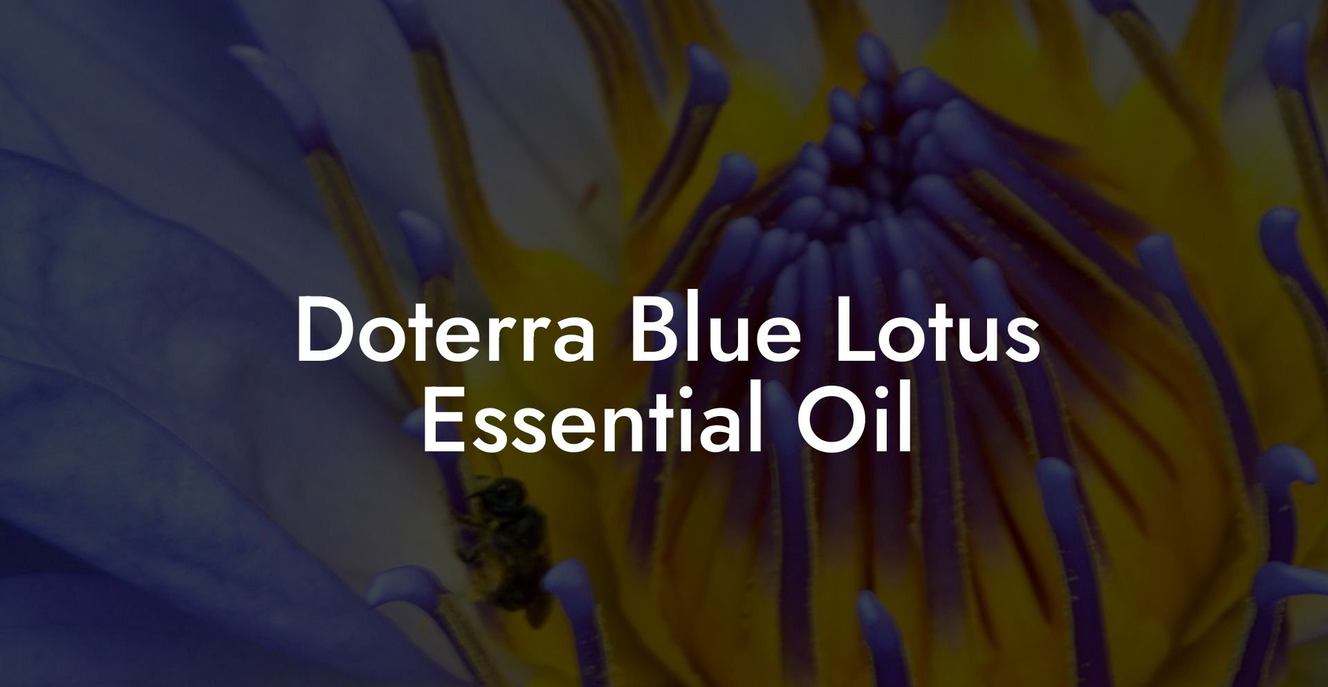 Doterra Blue Lotus Essential Oil