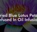 Dried Blue Lotus Petals Infused In Oil Infusion