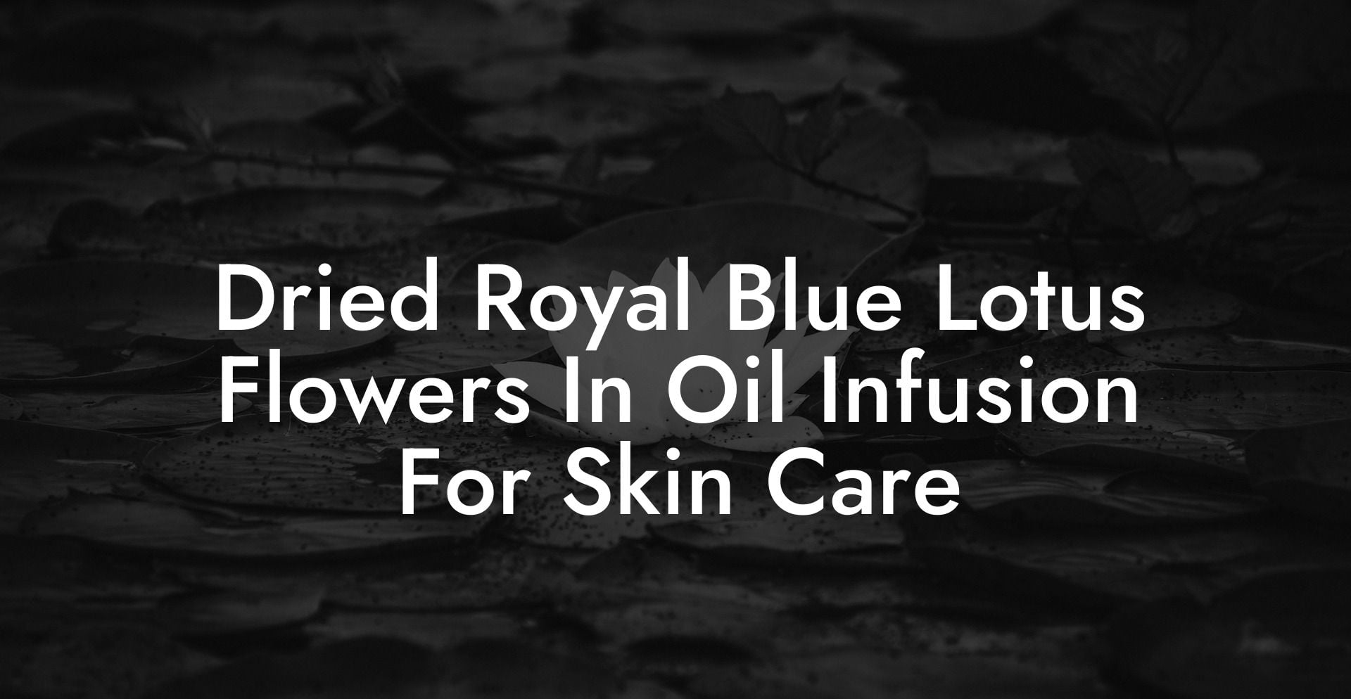 Dried Royal "Blue Lotus" Flowers In Oil Infusion For Skin Care